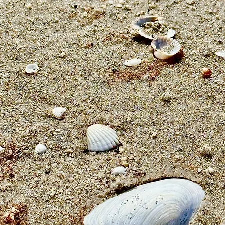 Apartment Sternenhimmel
