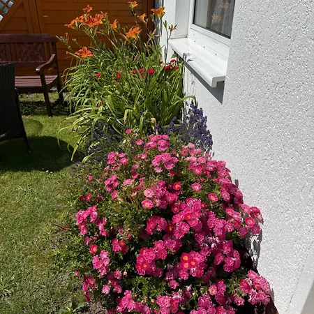 Apartment Sternenhimmel *