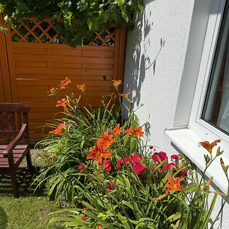 Sternenhimmel Apartment *