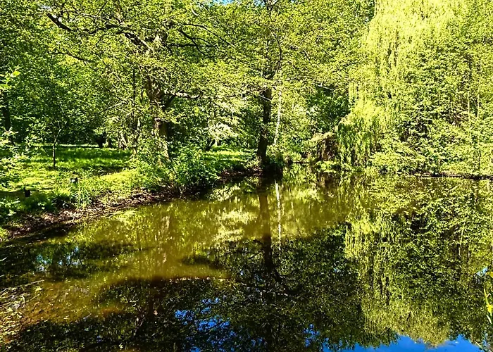 Sternenhimmel
